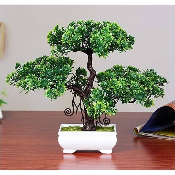 Image of Dekorly Artificial Bonsai with Plastic Pot 