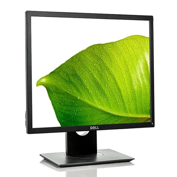 Image of Dell P1917S 19 Inch (48.26cm) Super XGA Monitor