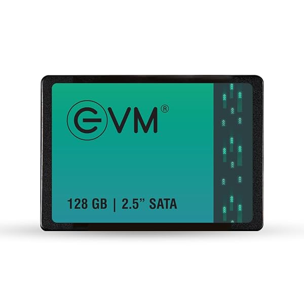 Image of EVM 128GB 2.5-Inch SATA Internal SSD - 550MB/s Read & 500MB/s .