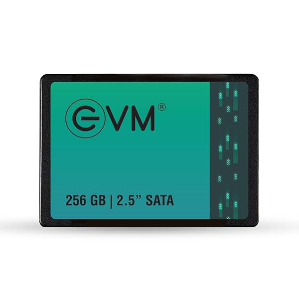 Image of EVM 256GB 2.5-Inch SATA Internal SSD - 550MB/s