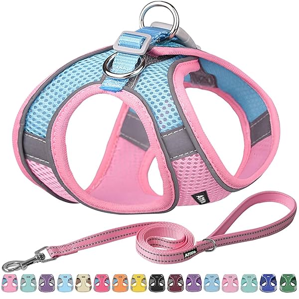 Image of Easy Walk Dog Harness and Leash Set