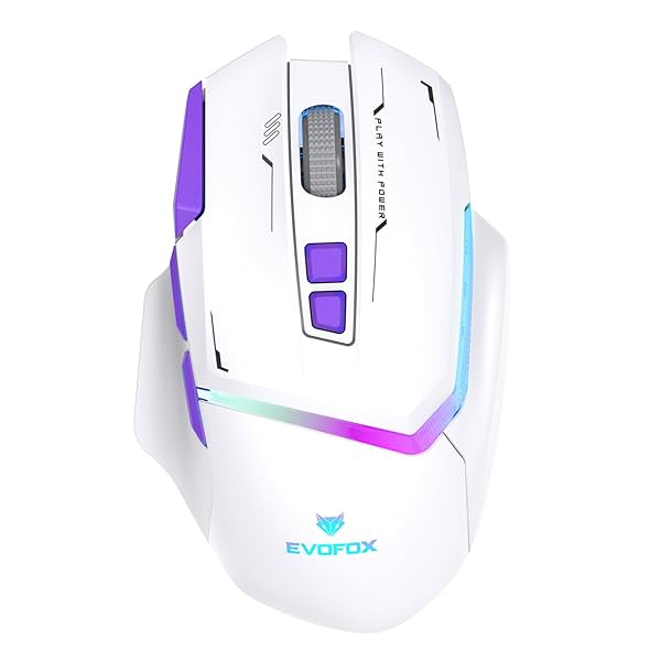 Image of EvoFox Banshee Rechargeable Wireless Gaming Mouse (2.4G+BT+Wired)