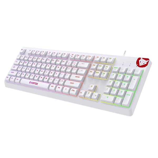 Image of EvoFox Deathray RGB Gaming Keyboard