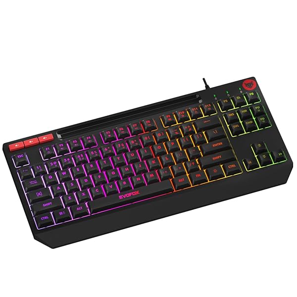 Image of EvoFox Deathray TKL RGB Gaming Keyboard | 16 Million True Prism Colors |