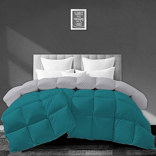 Image of Filbert - All Season 250 GSM Comforter Super Soft Fluffy Revesible Comforter