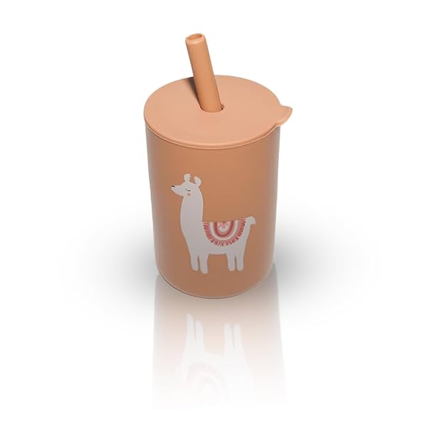 Image of FlourishX Silicone Sippy Cup with Straw