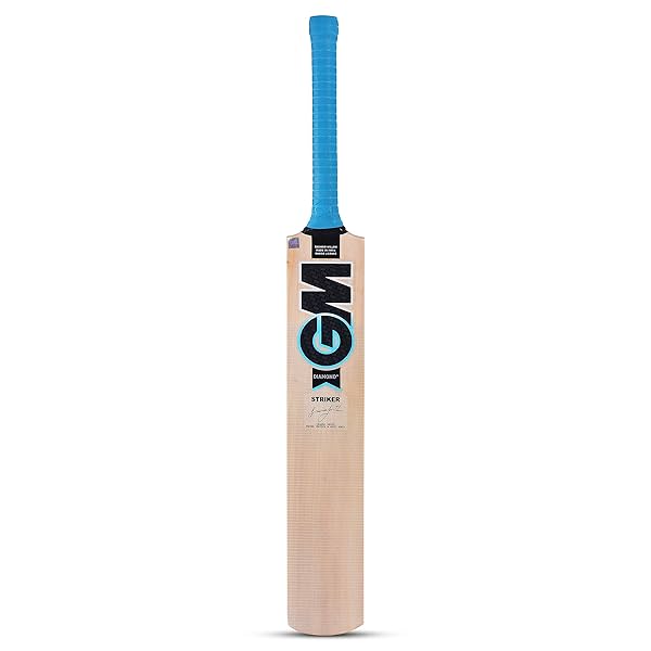 Image of GM Diamond Striker Kashmir Willow Cricket Bat 