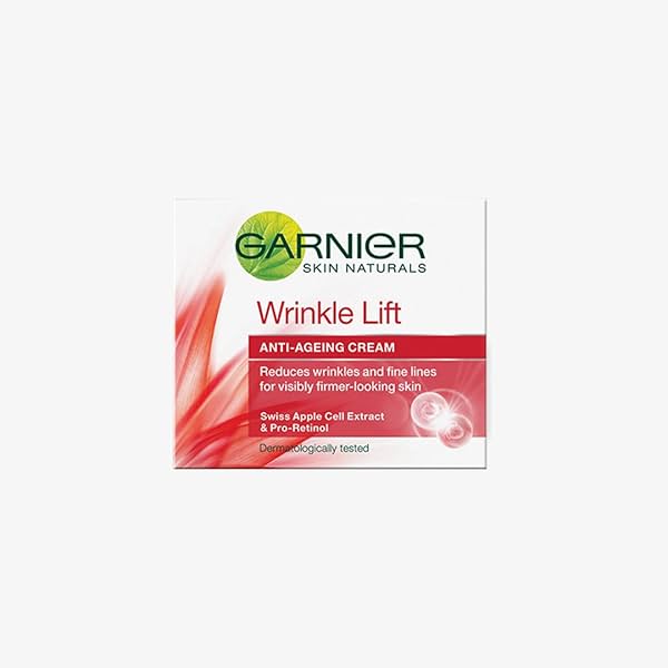 Image of Garnier Skin Naturals Anti-Ageing Cream 18g