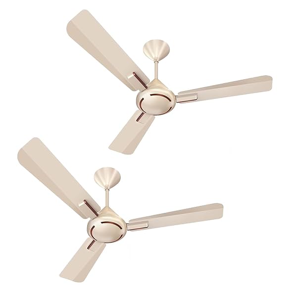 Image of Havells 1200mm Ambrose ES Ceiling Fan (Pack of 2, Gold Mist Wood)