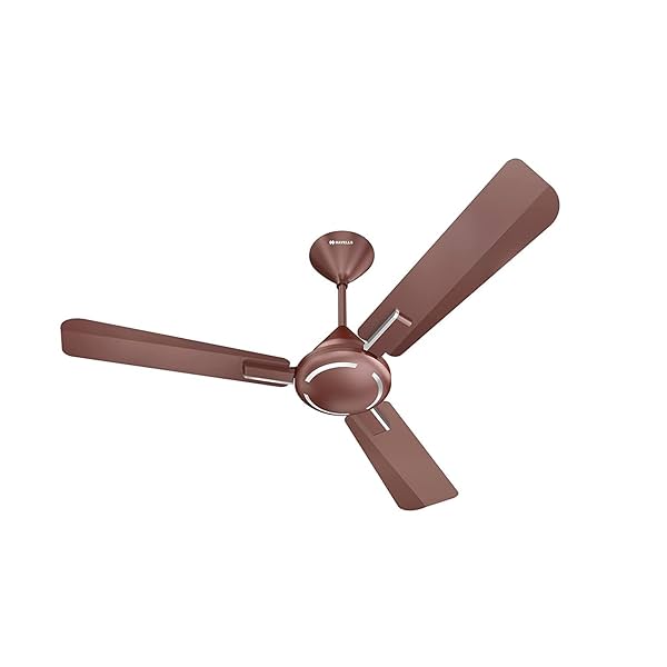 Image of Havells 1200mm Ambrose ES Ceiling Fan