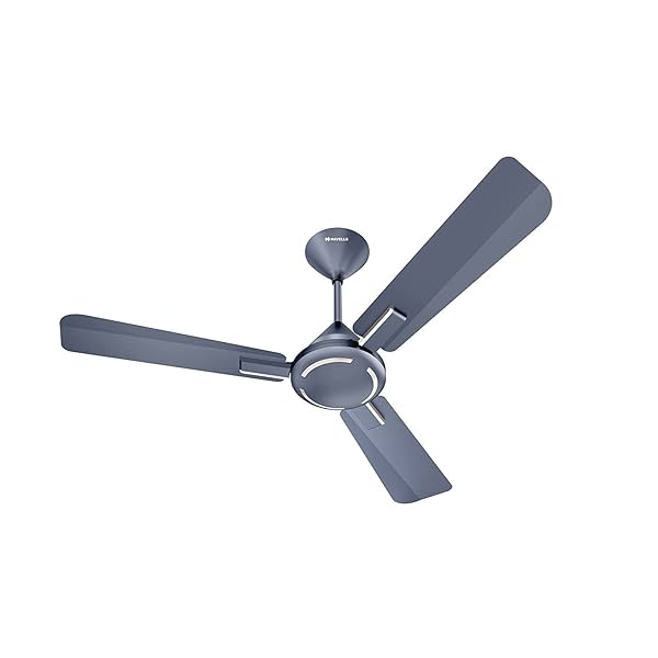 Image of Havells 1200mm Ambrose ES Ceiling Fan