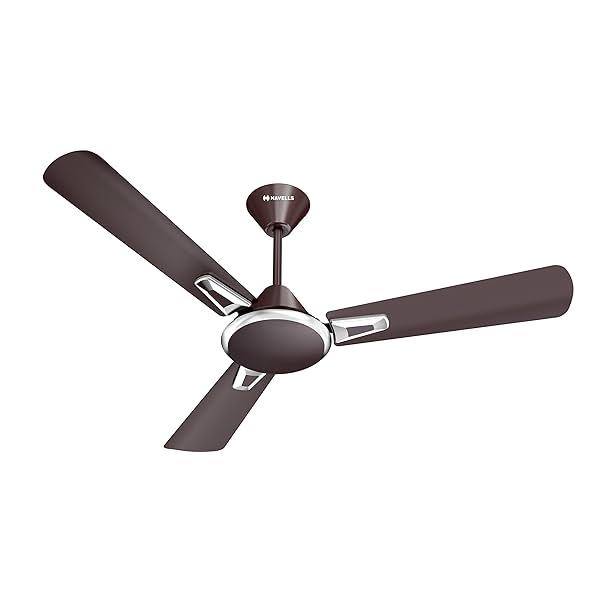 Image of Havells Festiva Prime 1200mm Ceiling Fan