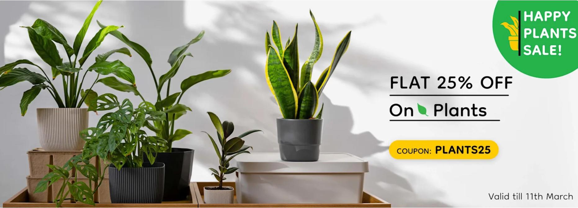 Image of IGP coupon : Flat 25% off on plants