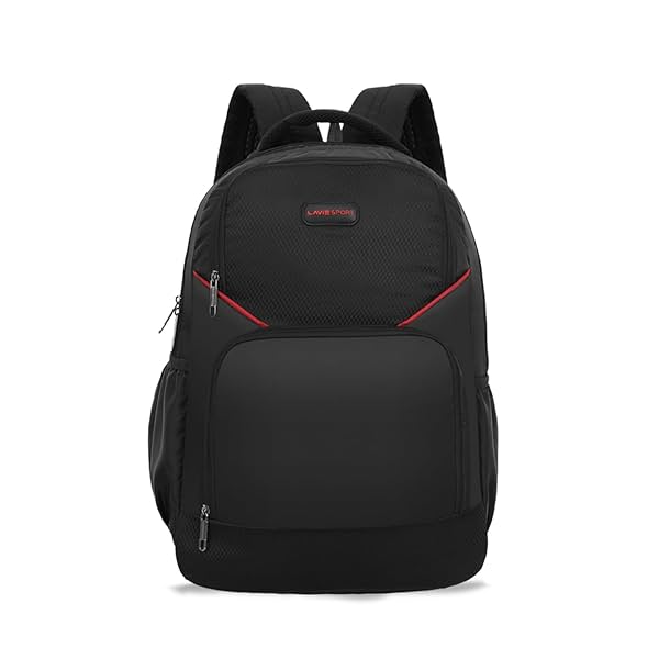 Image of Lavie Sport Business RC Anti-Theft Casual Backpack with Laptop Sleeve 