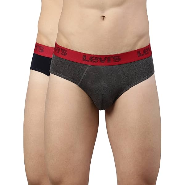 Image of Levi's Style# 066 Active Brief for Men with Contoured Double Pouch