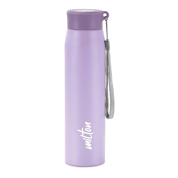 Image of MILTON Handy 850 Stainless Steel Water Bottle, 780 ml