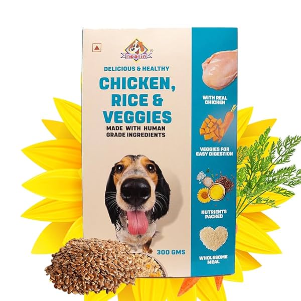 Image of Nootie Freshly Wholesome Meal All Natural Wet Dog Food 