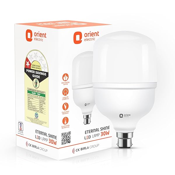 Image of Orient Electric Eternal Shine LED Bulb | 30 Watts | 12 Months Warranty