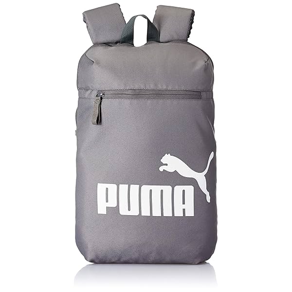 Image of PUMA Daypack IND IV CASTLEROCK- White