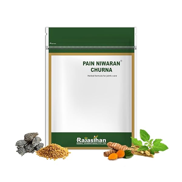 Image of Pain Niwaran Churna - 63gms