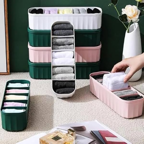 Image of Perpetual Innerwear Organizer For Wardrobe 