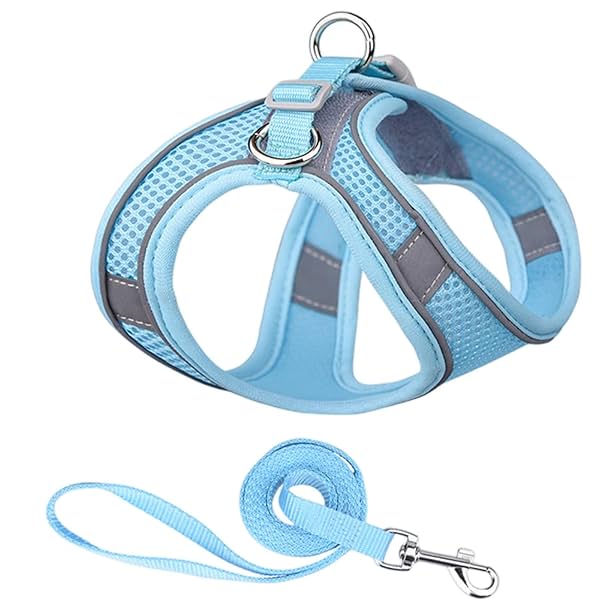 Image of PetVogue cat Safe Harness