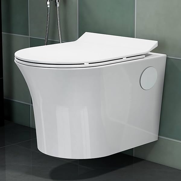 Image of Plantex Platinum Ceramic Rimless Wall Hung Toilet