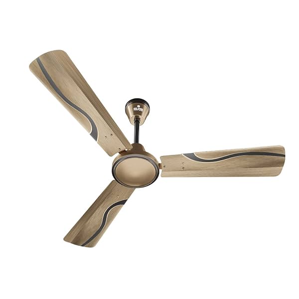 Image of Polycab Vital Prime Premium Ceiling Fan (Brass Duo)