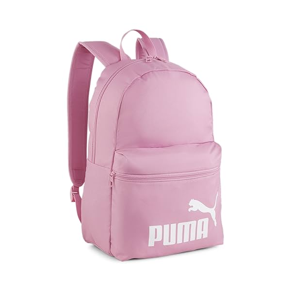 Image of Puma Unisex-Adult Phase Backpack, Mauved Out (7994332)