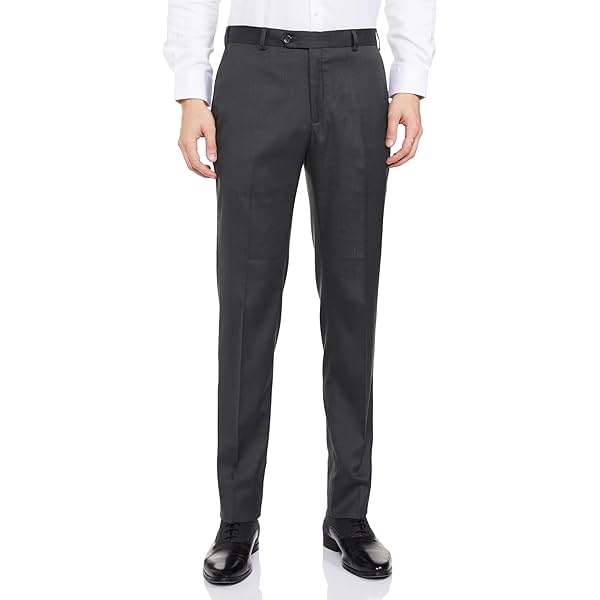 Image of Raymond Men Regular Fit Pants