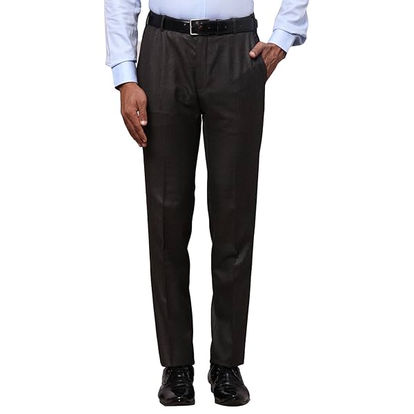 Image of Raymond Men Slim Fit Structure Pattern Poly Viscose Blend Pleatless Formal Trouser