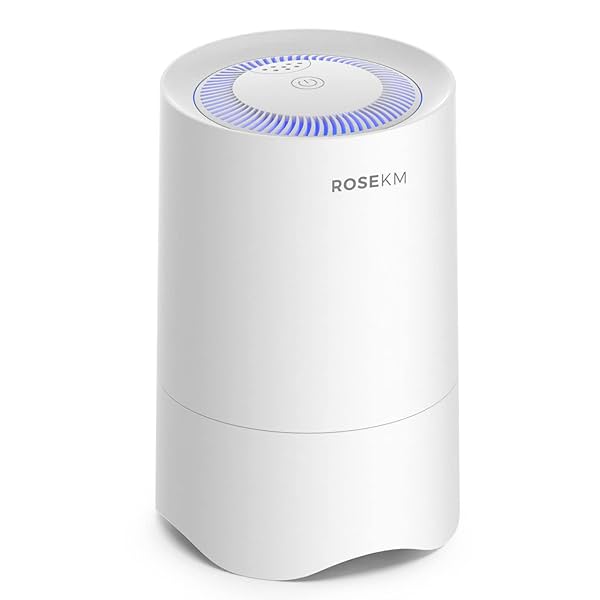 Image of Rosekm Small Air Purifier 