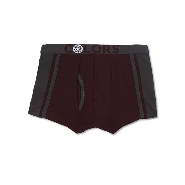 Image of Rupa Frontline Boy's Cotton Blend Classic Regular Fit Solid Trunks