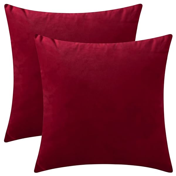 Image of Rythome Set of 2 Kids Comfortable Throw Pillow Cover