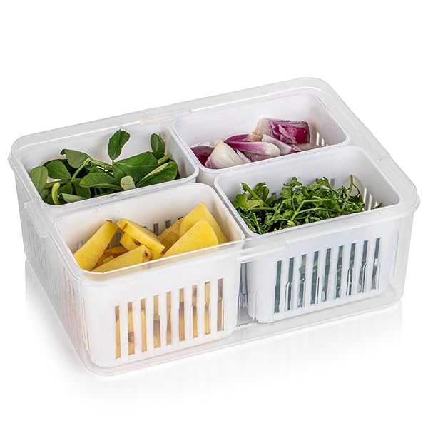 Image of SHUTTLE ART Food Storage Containers