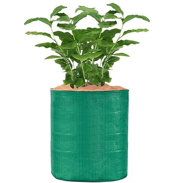 Image of SINGHAL HDPE UV Protected Round Plants Grow Bags 12x18 Inches Green Colour Suitable for Terrace and Vegetable Gardening