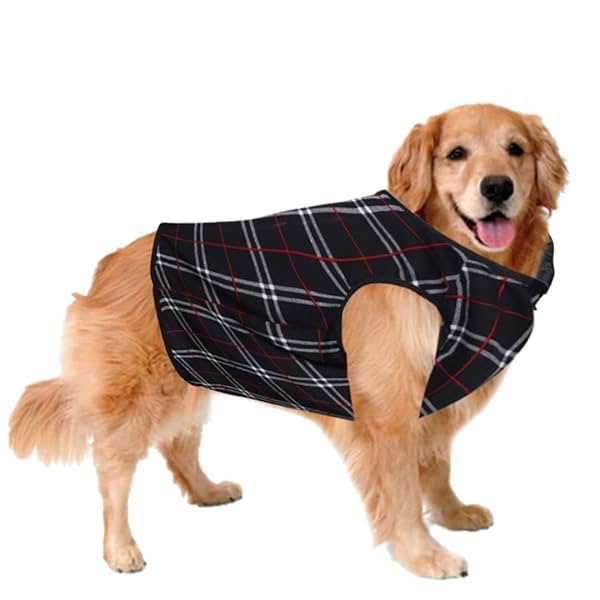 Image of Sage Square Dog T-Shirt (XXSmall - 10 inch)