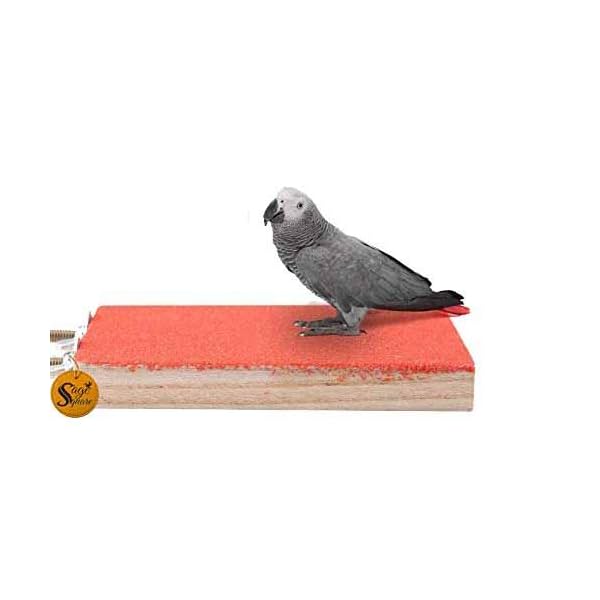 Image of Sage Square Premium Wood Sand Cage Platform 