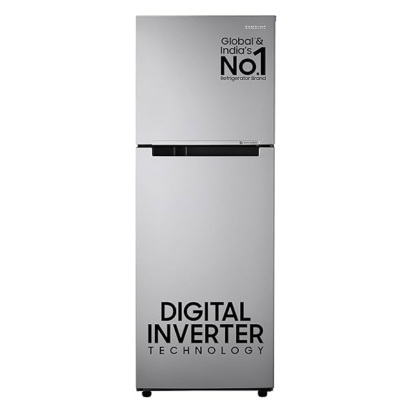 Image of Samsung 236L Frost Free Double Door 2 Star Refrigerator (RT28C3032GS/HL)