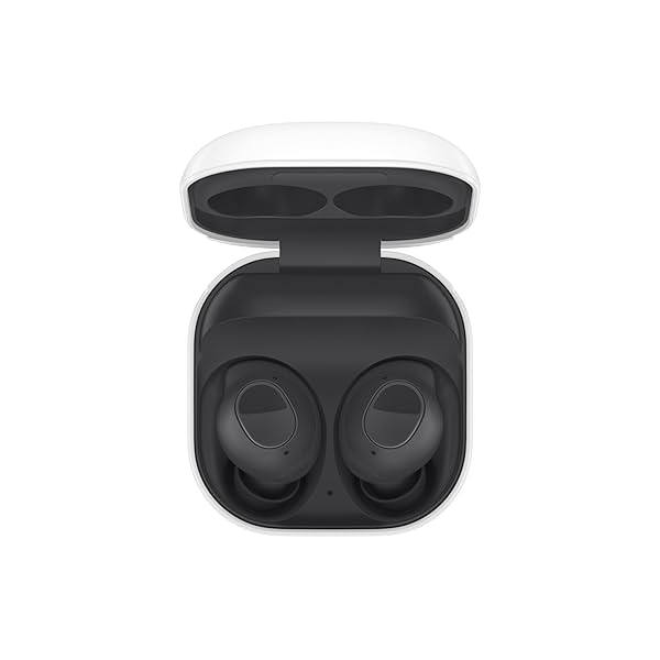 Image of Samsung Galaxy Wireless Buds FE (Graphite)