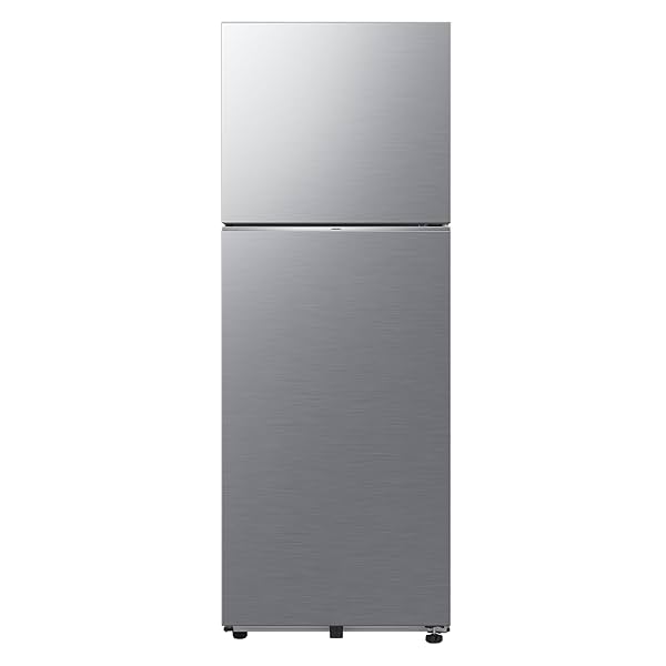 Image of Samsung RT34DG5A2BS8HL 330 L, 2 Star Refrigerator 