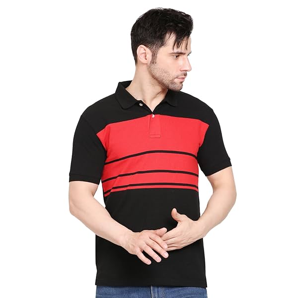 Image of Scott International Men's Rich Cotton Regular Fit Striper Polo T-Shirt