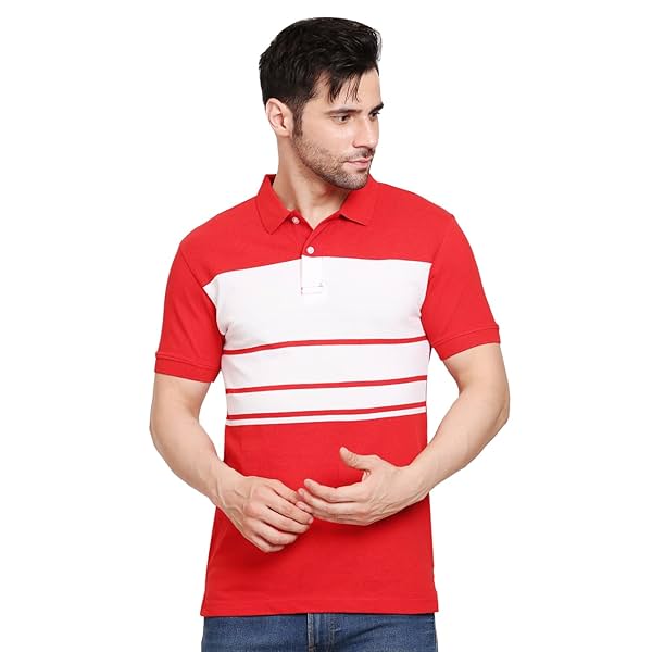 Image of Scott International Men's Rich Cotton Regular Fit Striper Polo T-Shirt