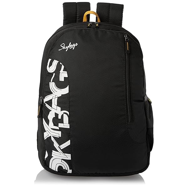 Image of Skybags Casual Backpack 28L, 2 Main Compartments, Bottle Pocket, Front Pocket