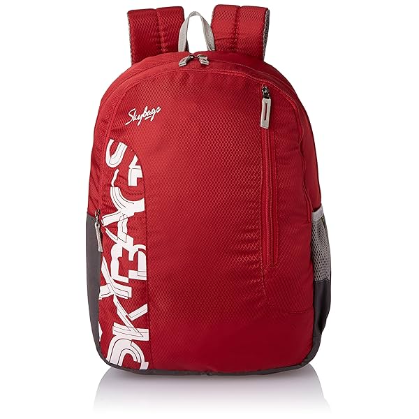 Image of Skybags Casual Backpack 28L, 2 Main Compartments, Bottle Pocket