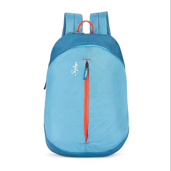 Image of Skybags Lit 17L Daypack Blue