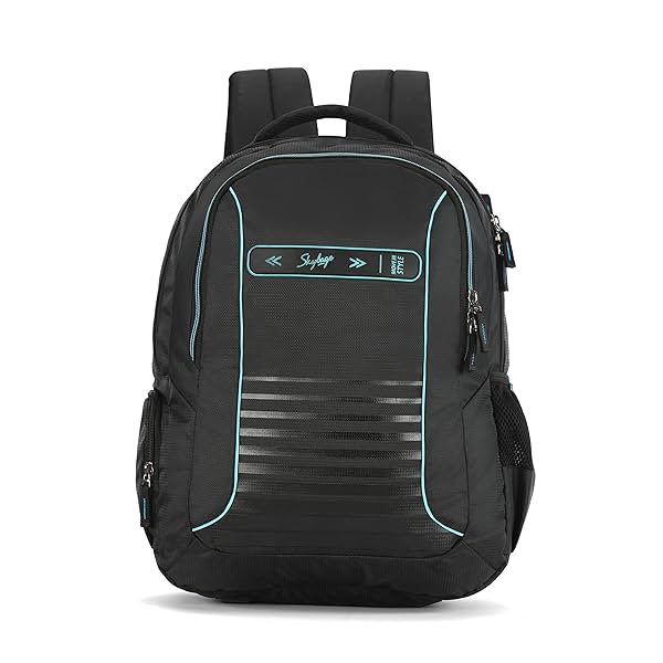 Image of Skybags Network Black Standard Backpack, 34 Liters