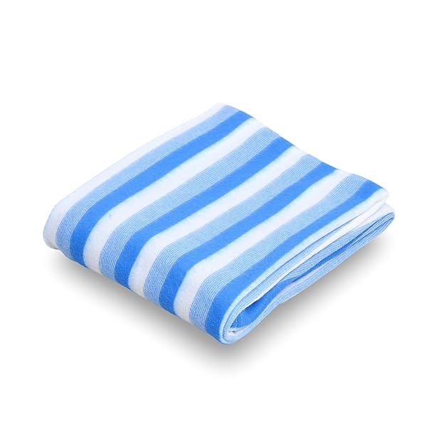 Image of Status All Season Multipurpose Blanket (Blue)