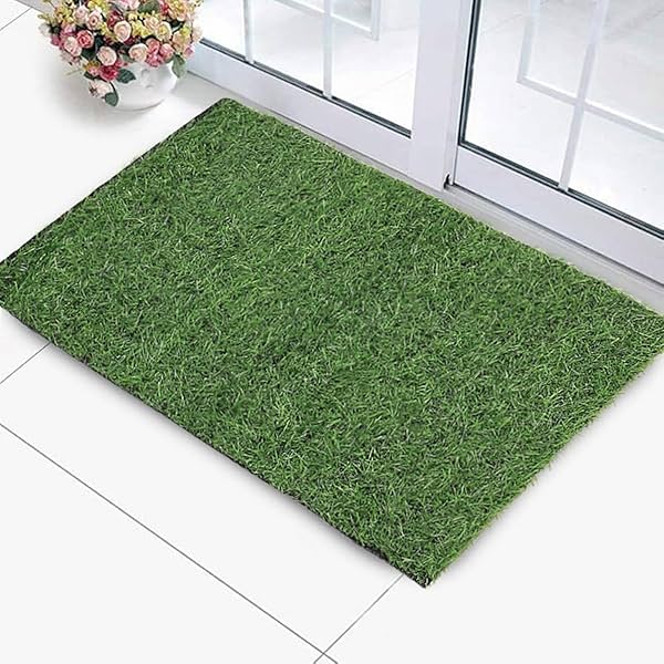 Image of Status Artificial Grass Mat, Floor Mat, Door mat Natural Green 