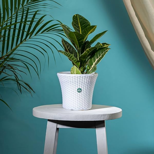 Image of TrustBasket Helix Pot 7-inch Table Top Planter Pot